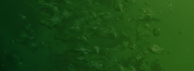 Green liquid background
