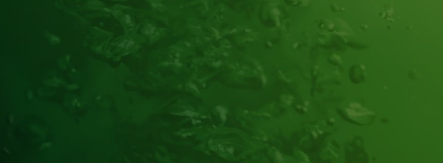 Green liquid background