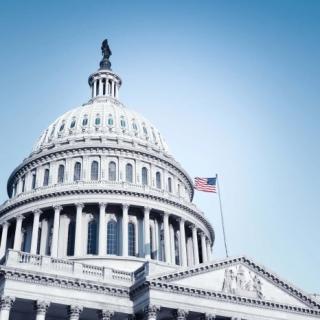 Government